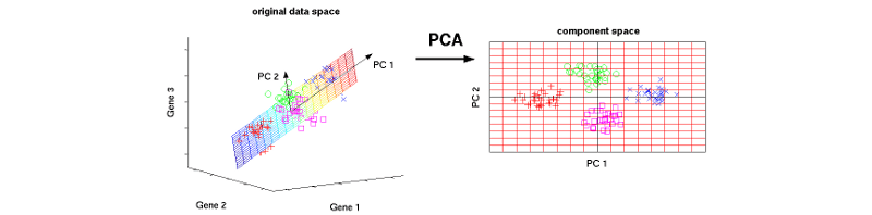 Dimensionality reduction diagram