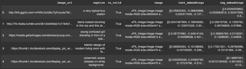 Vector index with image and captions embeddings