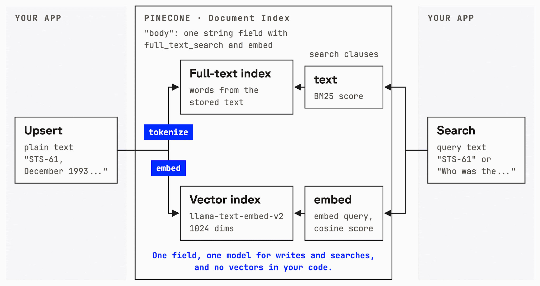 One string field in a document index holds the text, its full-text index, and its vector, so text and embed searches both run against it.