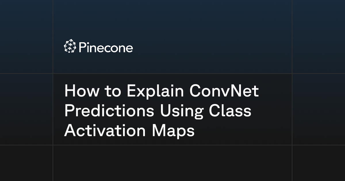 How to Explain ConvNet Predictions Using Class Activation Maps | Pinecone